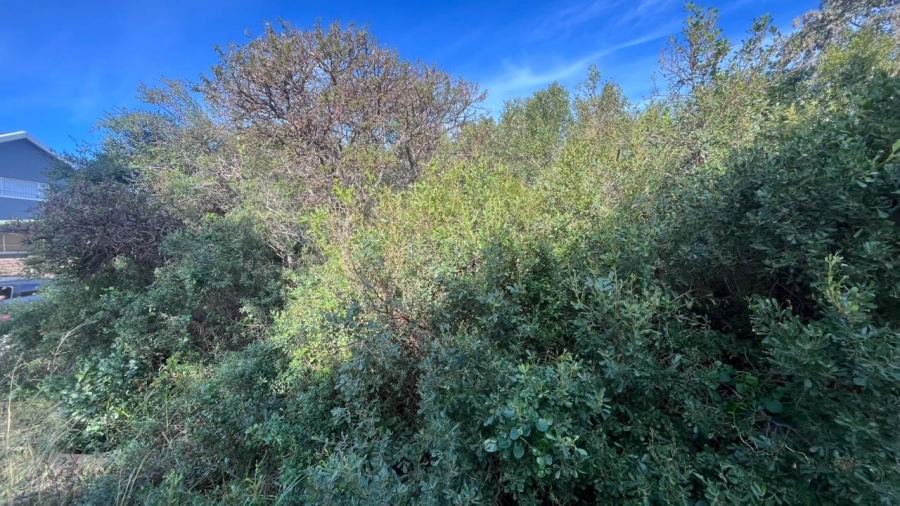 Commercial Property for Sale in Aston Bay Eastern Cape